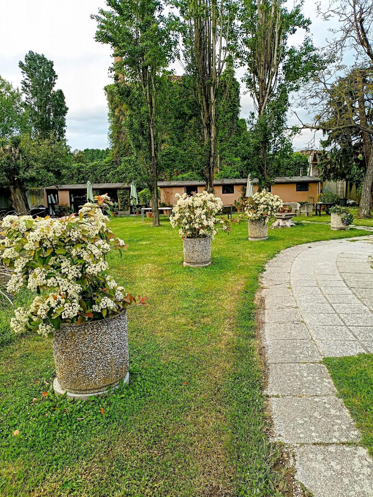 Villa Olanda Mira Exterior photo